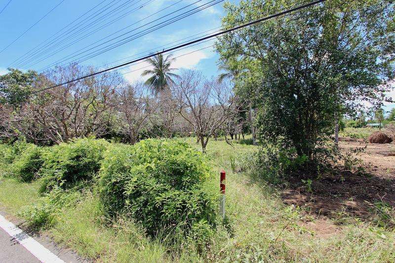 Dolphin Bay Land for Sale54