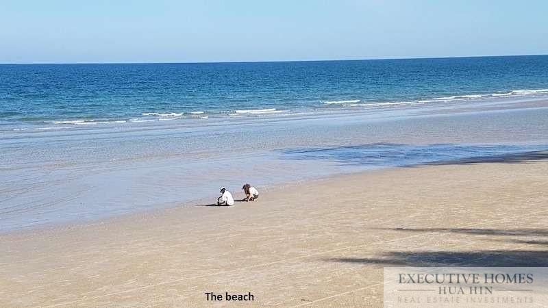 La plage the beach 1