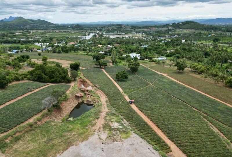 Beautiful Pak Nam Pran Land Plot For Sale